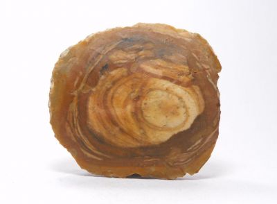 Rohovec - Sakkára, Egypt (KB-22)